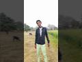 Kunda samajhte Hai|#thedialogue#releasemovie#viraldialouge#ytshorts#yoytubeshorts#arpit#filmdialogue