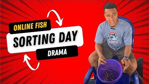 This Is Why You MUST Sort Your Catfish Regularly!