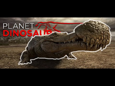 planet-dinosaur---supercroc-(sarcosuchus-imperator)