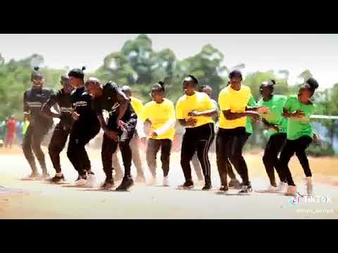 NYS Turbo field unit dancing script