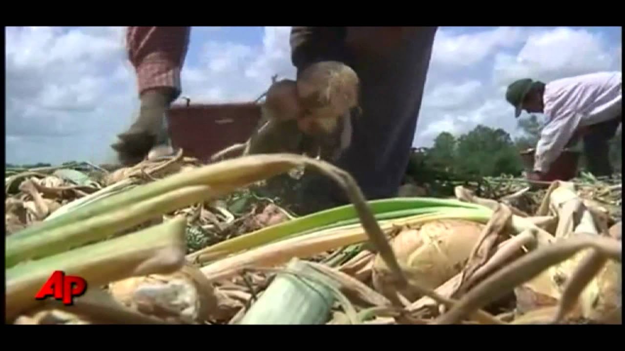 Pululan trabajos malos en EE.UU - Opiniario Estelar SOiTV