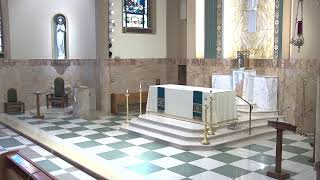 14th Sunday in Ordinary Time (Vigil)