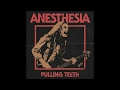 If Anesthesia (Pulling Teeth) was played using Metallica's Classic Guitar Tones