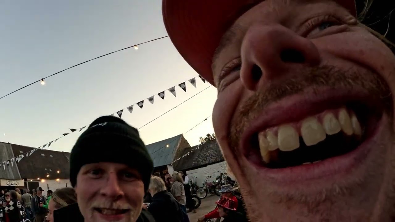 Dirty Cats - The Hook Up