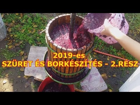 Videó: Hogyan Készítsünk Borélesztőt Otthon