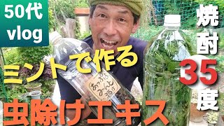 【天然虫除けエキス#487】ハーブ