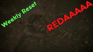 Redas Weekly Reset / update in Assassins Creed Valhalla Wrath of Druids