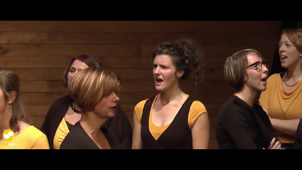 Bladgoud 28-09-2019 - Sorry (Kensington)