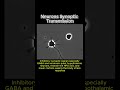 Synaptic transmission Low cortisol life #science #facts #human #biology