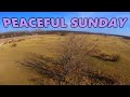 Peaceful Sunday