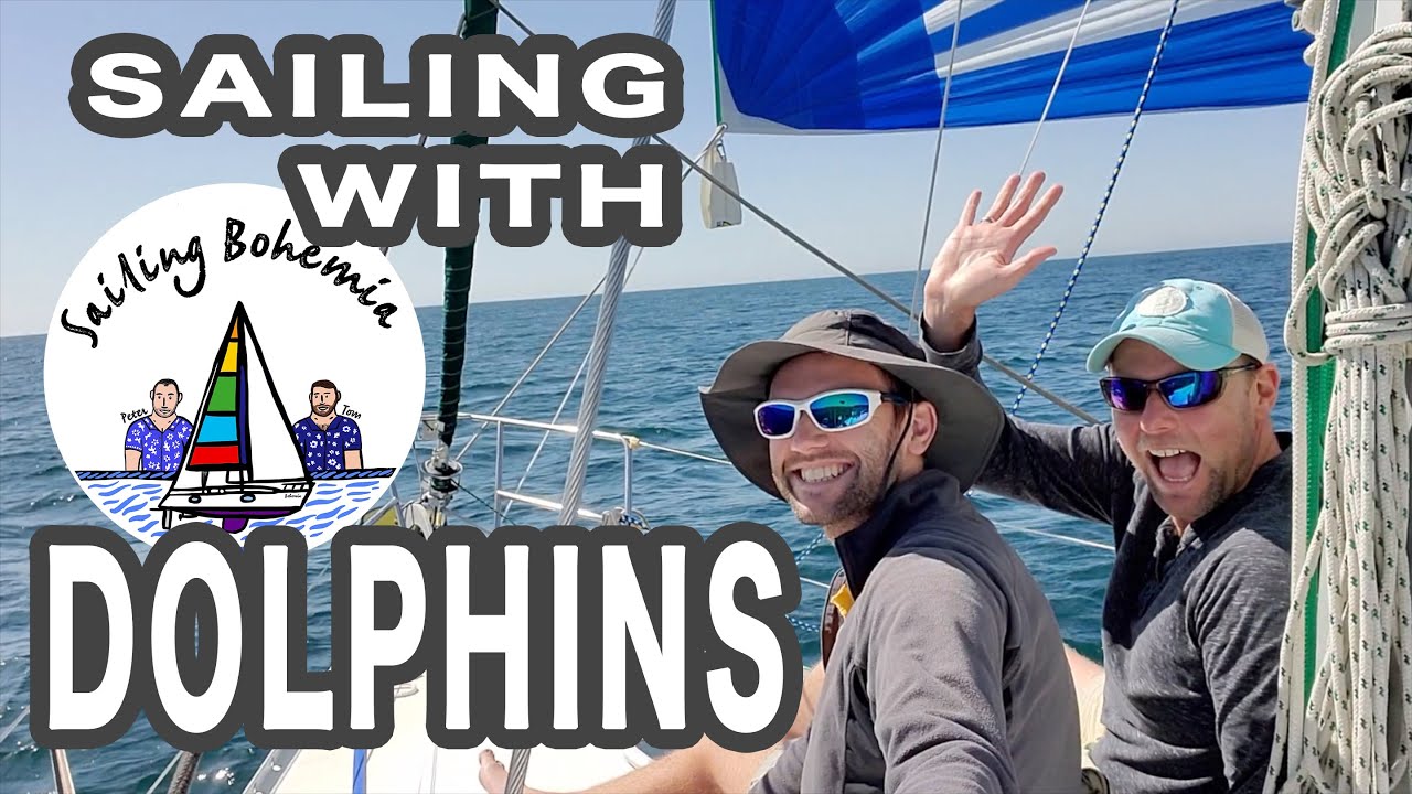 SAILING WITH DOLPHINS & A NEAR MISS WITH A CRUISE SHIP! Ep.2 - Sailing California, Big Sur Coast