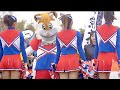 チアさんの応援風景【にゃるこ】