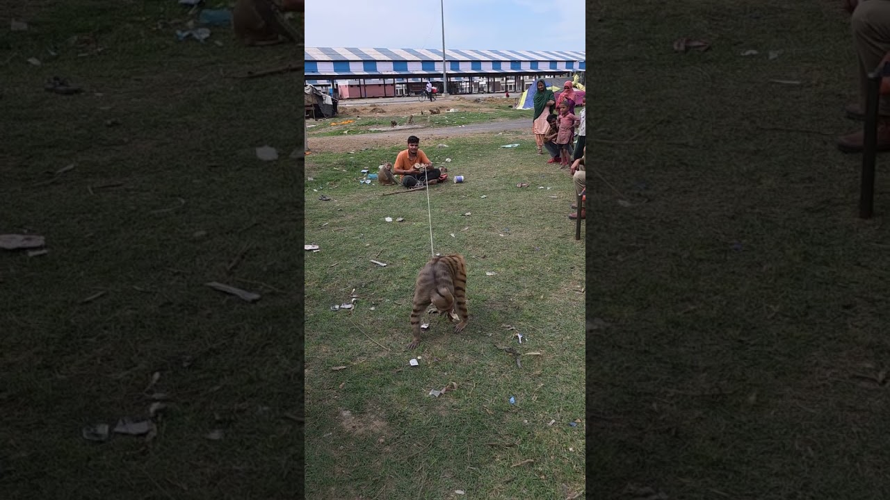 छोटू बच्चों के साथ बचपन की यादें ताजा हो गई। कैसे ये अपने बच्चों का पेट पालने के लिए लोगों का