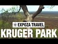 Kruger National Park Vacation Travel Video Guide