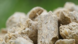 Pannonia Bio – Barley Husk