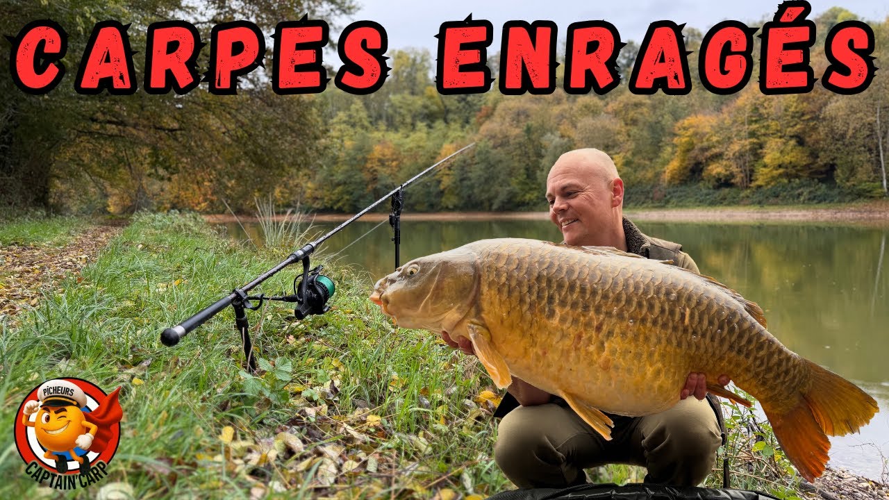 ATTAQUE D'AUTOMNE//Les carpes ont pris cher!!