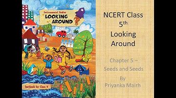 Class 5 EVS | Chapter-5 | Seeds and Seeds || Book- Looking Around English Medium NCERT