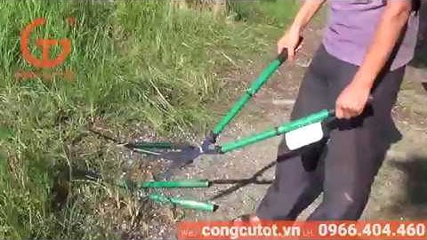 Kéo cắt cỏ Berrylion cán tăng các loại