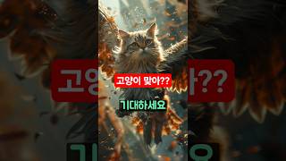 동물농장-고양이야 독수리야??