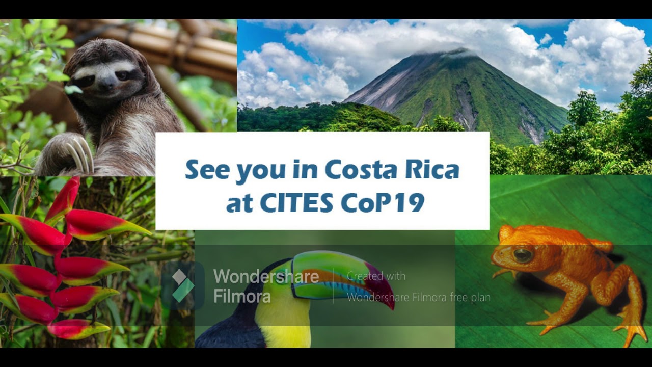 පාරිසරික හා දේශගුණික සම්මුති