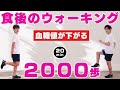 【食後のウォーキング】2000歩歩いて血糖値を下げよう !健康、ダイエットに最適!!【20分の室内散歩!】#153
