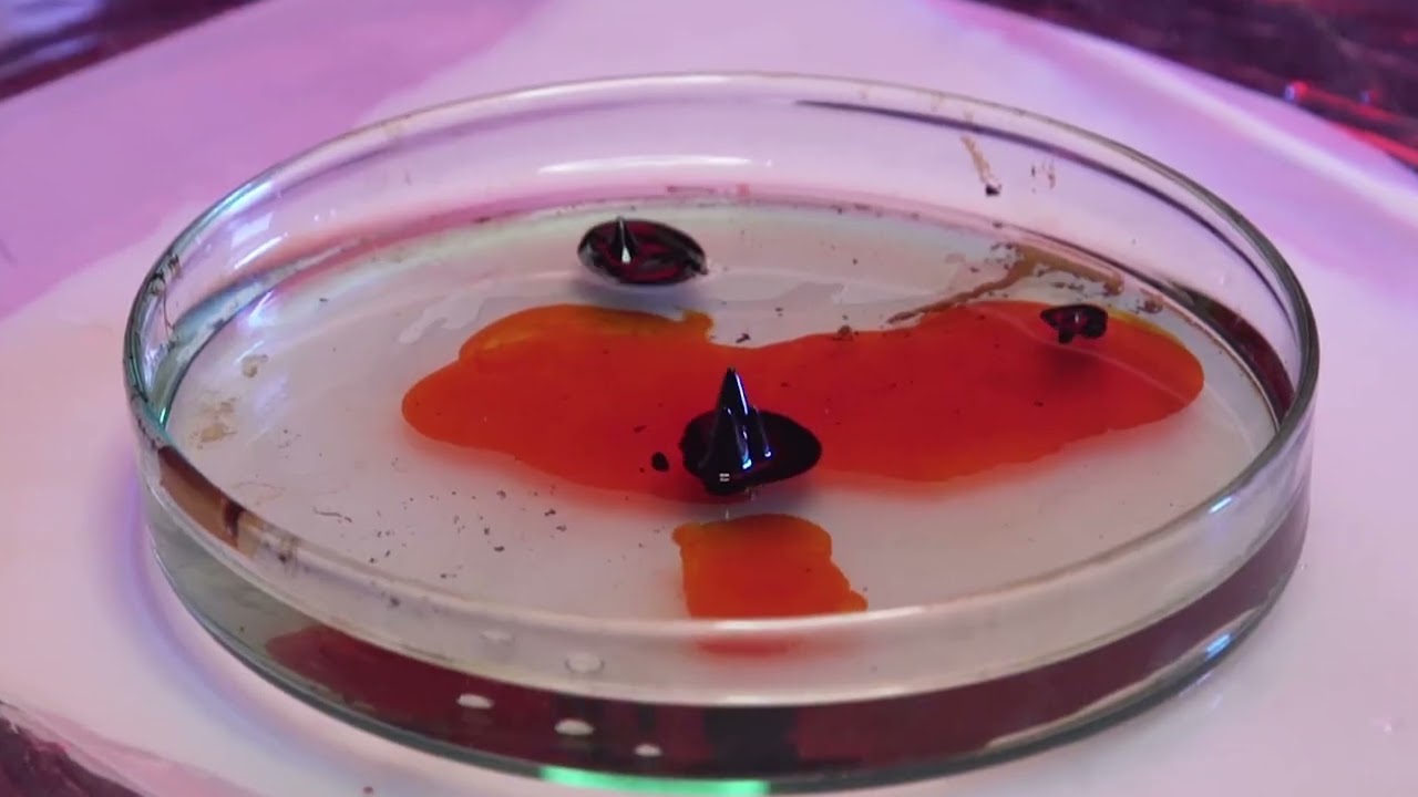 oprawa CANAL+ 4K ULTRA HD 2018 – 2020 od kuchni