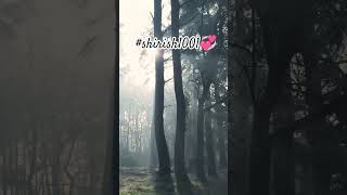 #The evergreen vibe of this song 💞🤌🏻#aapkepyarmein #raaz 🌹💗💕#lovesongs #bollywood #hindisong💚