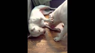 George And Peach Still Going At It.