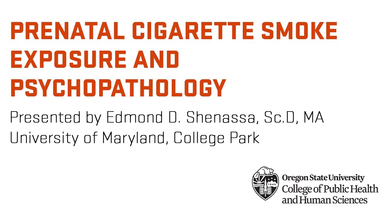 Prenatal Cigarette Smoke Exposure and Psychopathology During Adulthood