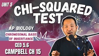 Chi-Squared Test! What is it and how can we use it for Linkage problems?