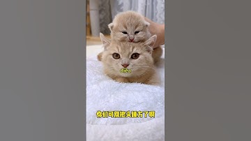 1 Phút Suy Ngẫm - Có Thể Thay Đổi Cuộc Đời Bạn #baihoccuocsong #truyendongluc #lifelessons