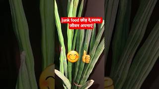 Acharya Manish Ji Healthy Tips 🌿 junk food छोड़ दे,स्वस्थ जीवन अपनाएं👍#healthyhabits#ayurveda#shorts