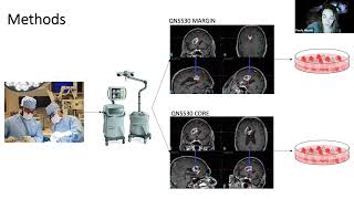 Lecture Series - CNS Abstract Presentations (11-21-2022)