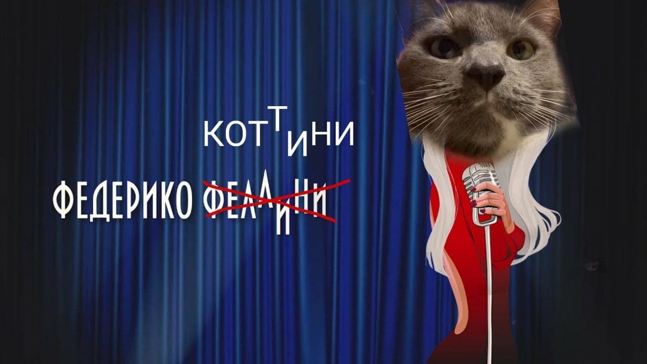 Канал котинет