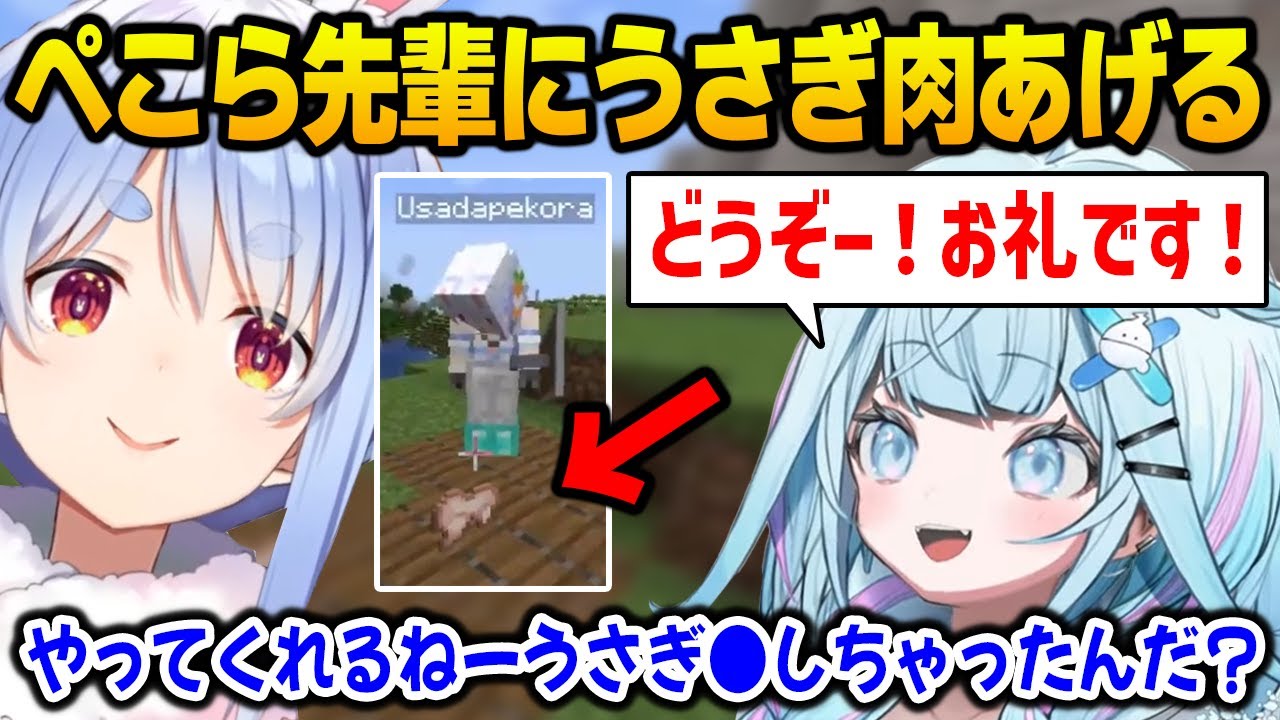 【新ホロ鯖】御礼の品としてぺこら先輩にウサギ肉をあげるも逆鱗に触れてしまうすうちゃん【水宮枢 兎田ぺこら DEV_IS FLOW GLOW ホロライブ】
