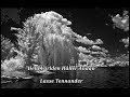 Hela Världen Håller Andan - Lasse Tennander (lyrics)