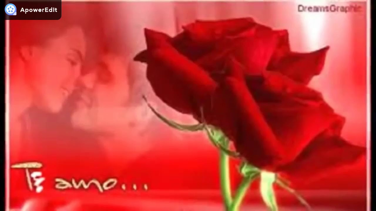 Te Amar Foi Um Erro (Ataide & Alexandre)(DR) YouTube