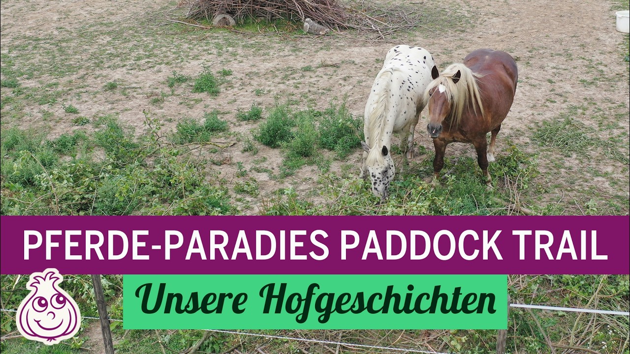 Im zweiten Winter fingen unsere Pferde an, die Holzpfosten anzuknabbern. Ich dachte erst an Langeweile oder Hunger. Doch dann sah ich mir das Holz genauer an: Alles war mit Leinöl gestrichen,...