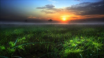 Module Module - An Interlude