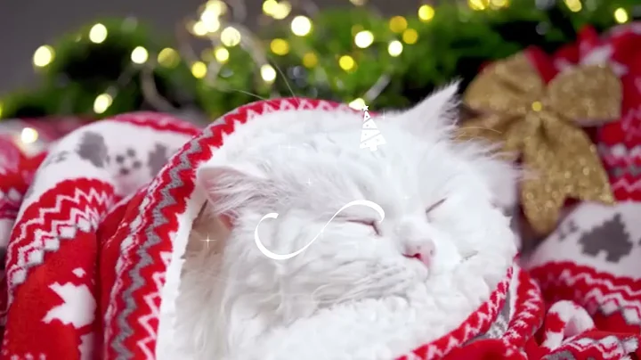 FELIZ NAVIDAD TE DESEA AUTENTICA TV 1