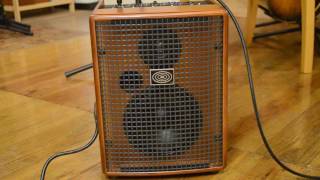 SChERtLER JAM 100w / Wood AMP - guitarshoptantan （ギターショップ