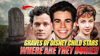 10 Graves of Disney Child Stars - Passed Away Histories and Their Final Resting Places