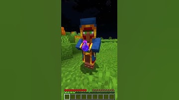 MINECRAFT - HOW TO SPAWN A WANDERING TRADER! #shorts