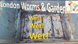 Small Worm Bin Week 51 Update - Goodbye to two more bins!