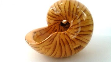Scroll or Band Saw Shells