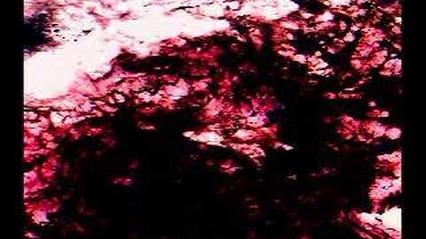 untitled work in progress