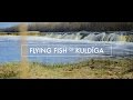 Flying fish of Kuldīga / Kuldīgas lidojošās zivis