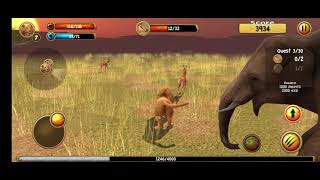 Wild Lion Simulator 3D screenshot 2