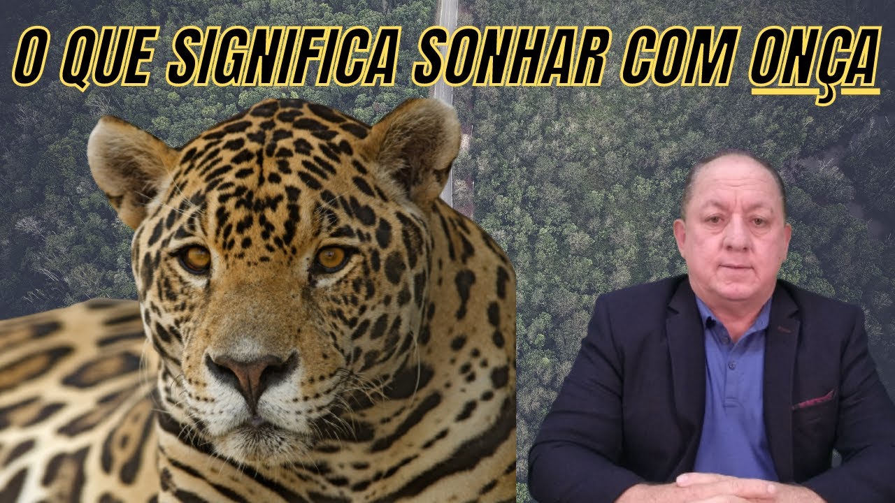 O QUE SIGNIFICA SONHAR COM ONÇA - YouTube