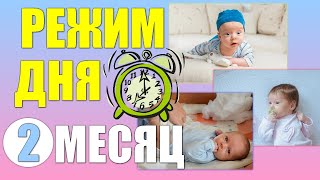 Ребенок в 2 месяца.Режим дня ребенка в два месяца